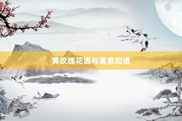 黄玫瑰花语与寓意知道