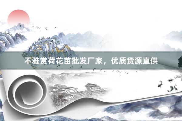 不雅赏荷花苗批发厂家，优质货源直供